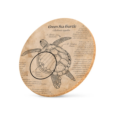 Illustrated cork coaster featuring green sea turtle artwork